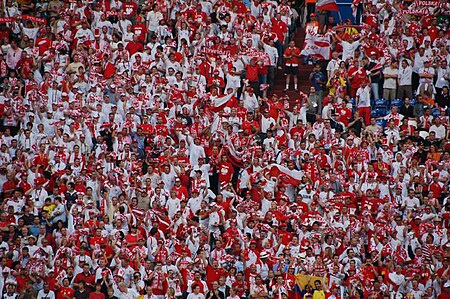 Fail:Polish football (soccer) fans - FIFA World Cup 2006 (03).jpg