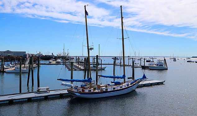 Sailboats in Rockland harbor - Maine