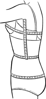 Bust/waist/hip measurements Measures used for fitting clothing