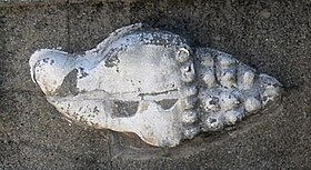 A escultura que aparece no Templo de Quetzalcoatl, em Teotihuacán (foto), é uma concha de Turbinella angulata.[3] Elas foram consideradas objeto de culto pelas civilizações pré-colombianas do México.[4]