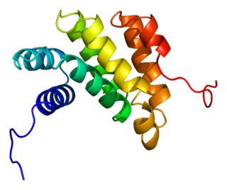 <span class="mw-page-title-main">PDCD4</span> Protein-coding gene in the species Homo sapiens