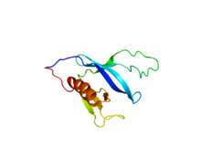 Protein PLCG2 PDB 2K2J.png