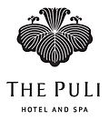 Финальная версия логотипа PuLi.jpg