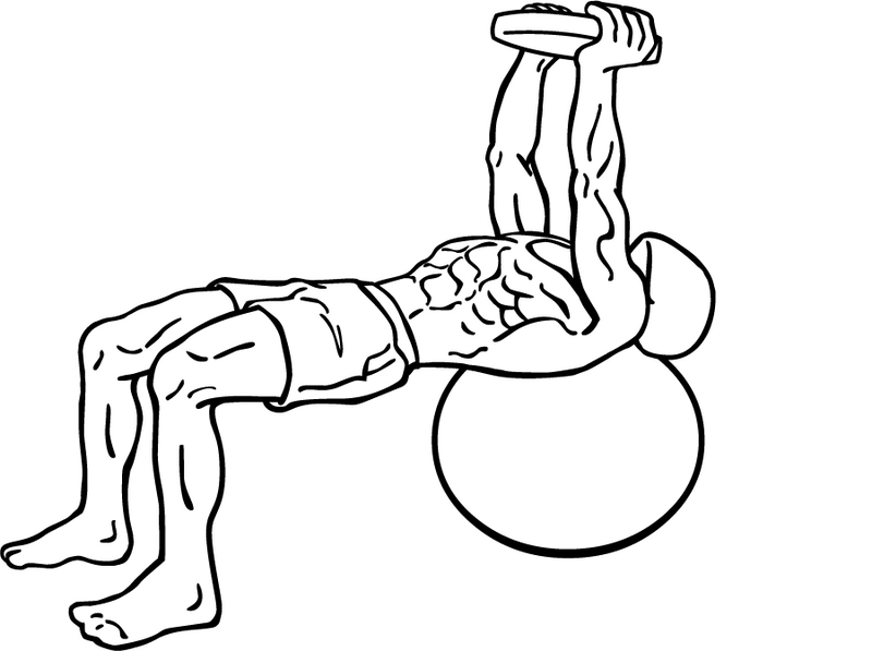 File:Pullover-on-stability-ball-with-weight-1.png