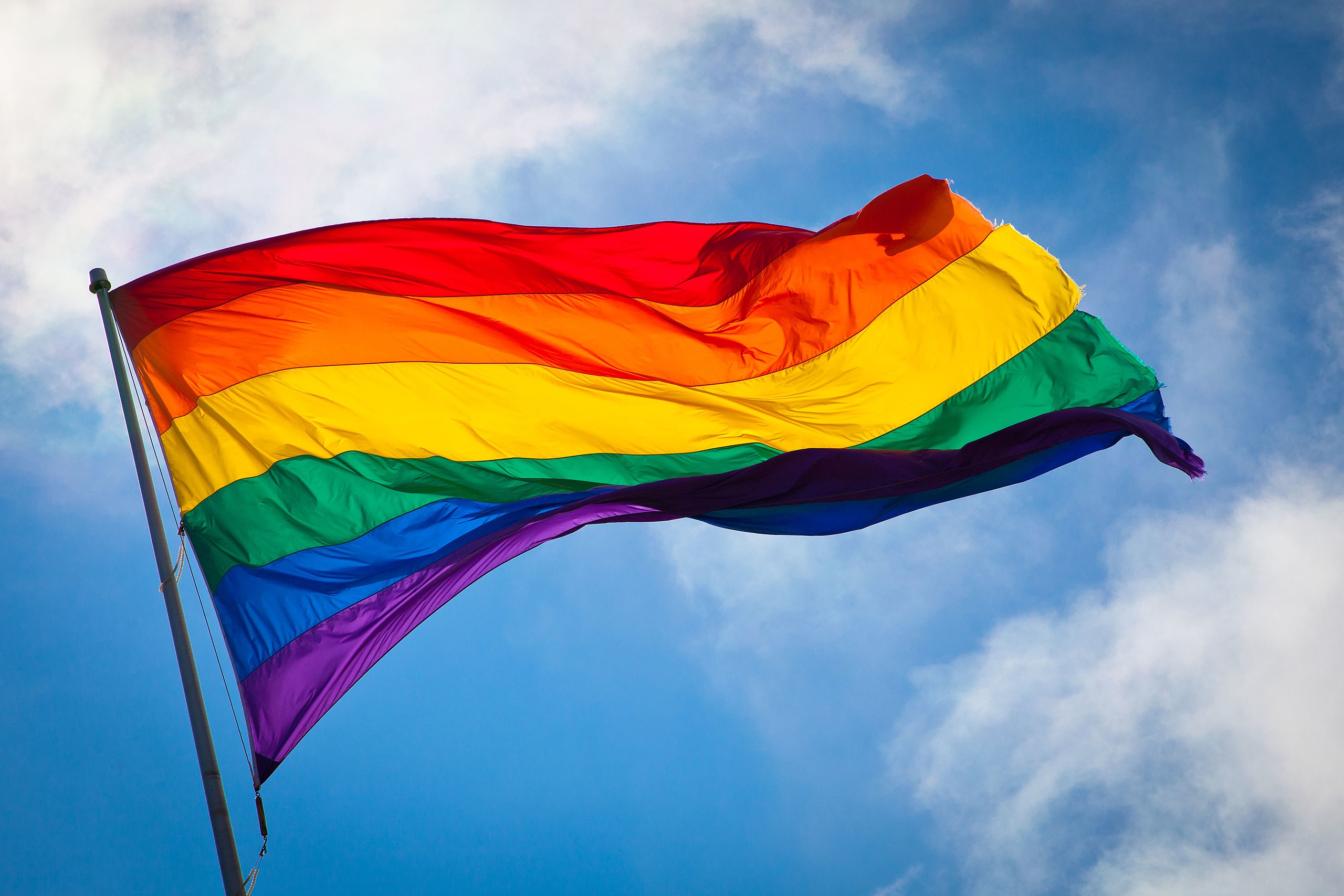 Rainbow flag - Wikipedia
