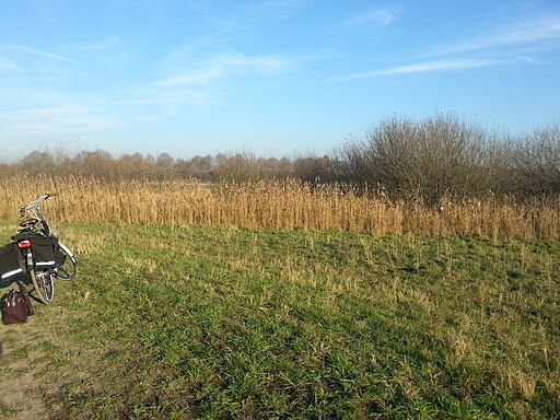 Rand van natuurgebied Moerputten bij 's-Hertogenbosch