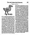 Abbildung und Beschreibung aus Conrad Gessners (1516–1565) Vogel-Buch (deutsche und verbesserte Ausgabe von 1669)