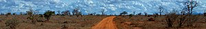 parco nazionale di Tsavo East (banner)