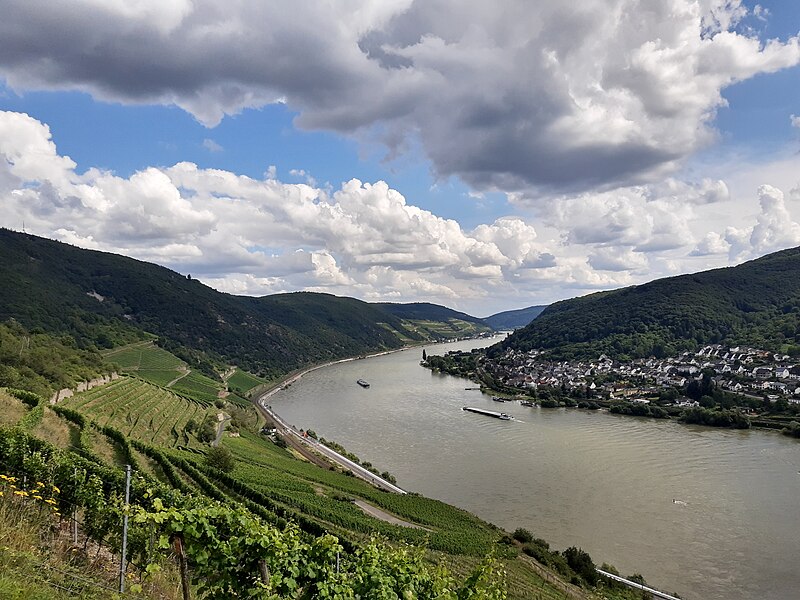 File:Rhine, Lorch.jpg