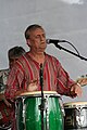 English: Richard Tesařík performs with his group "YoYo band" at 2007 Karlovy Vary International Film Festival.