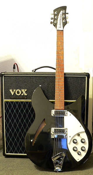 A Rickenbacker 330. Weller frequently recorded and performed live with the Jam using this instrument.