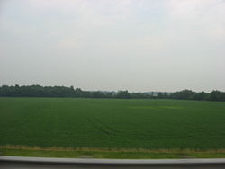 Campo en el centro de Riley Township