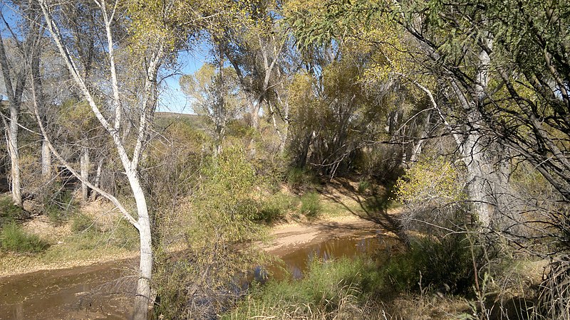 File:River san pedro - panoramio.jpg