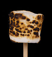 A scent often referenced in aged wines is that of a burnt marshmallow. Roasted-Marshmallow.jpg