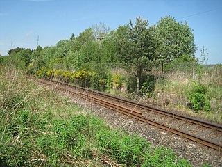 <span class="mw-page-title-main">Rothiemay railway station</span> Disused railway station in Milltown of Rothiemay, Aberdeenshire