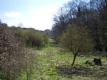 Rough land - geograph.org.uk - 389231.jpg