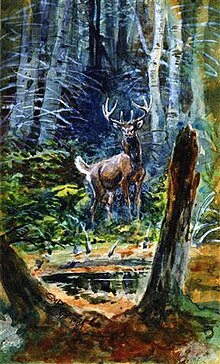 Russell - deer-in-the-dell-1909.jpg