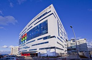 Rambam Health Care Campus