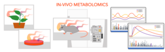 In-vivo metabolomics SESI and metabolomics research.png
