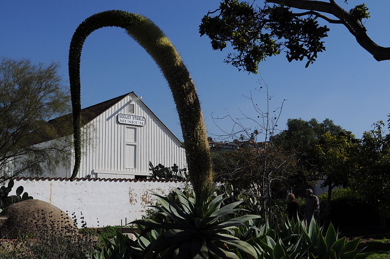 File:San Diego - Seeley Stable Museum 02.jpg