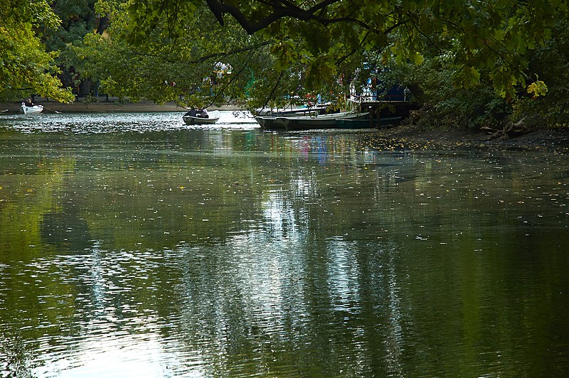 File:Saratov City Park. img 007.jpg