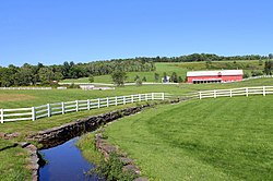 Scenérie Dallas Township z Lower Demunds Road