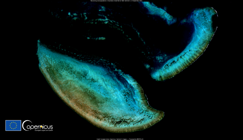 File:Signs of Recovery for the Great Barrier Reef coral (Copernicus).png