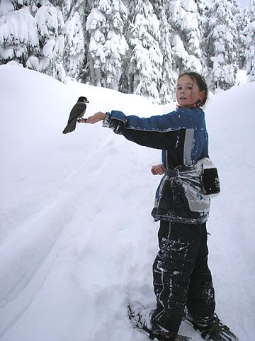 A young snowshoer with a wild bird