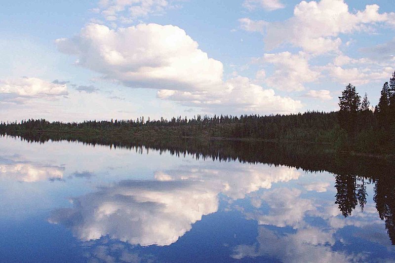 File:Spiegelung auf einem See.jpg