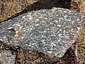 Spitzer Granodioritgneis sl9.jpg