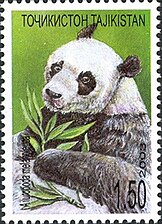 Panda Velká: Etymologie, Taxonomie, Rozšíření a biotop