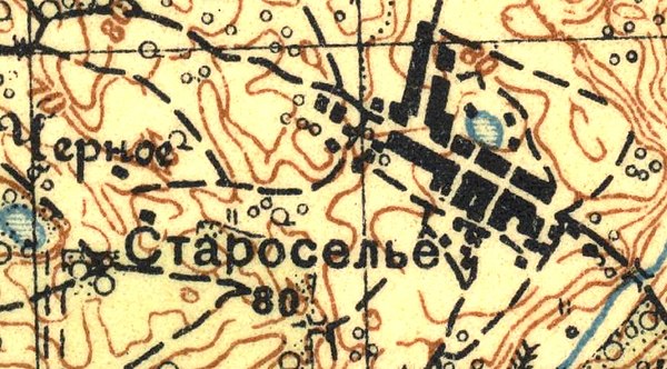 План деревни Староселье. 1931 год