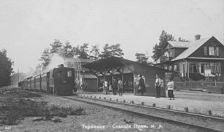 <span class="mw-page-title-main">Tarkhovka railway station</span>