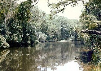 Aan de rivier de Steinhatchee