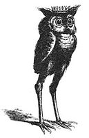 Stolas as illustrated by Louis Le Breton in Dictionnaire Infernal.