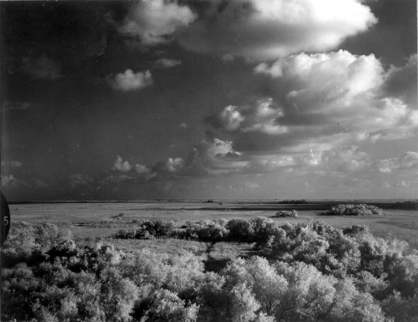 A storm over the Shark River in the Everglades, 1966