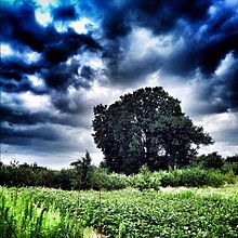"Storm is coming", an example of iPhoneography Storm is coming.jpg