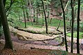 Gorges and moors on the upper Furlbach