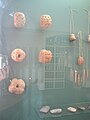 Újkőkori leletek (szajoli és törökszentmiklósi maradványokkal vegyesen) Szandaszőlősről. A Damjanich János Múzeum gyűjteményéből
