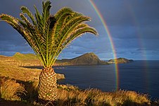 São Lourenço The palm tree and rainbows. Madeira, Portugal.jpg