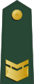 Taiwan-army-OR-4.svg