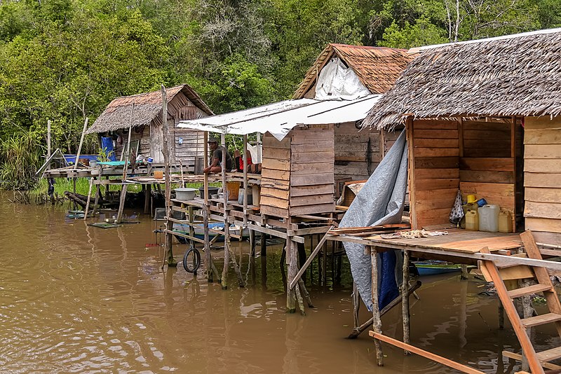 File:Tanjung Puting National Park (49869919037).jpg