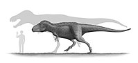 List Of Asian Dinosaurs