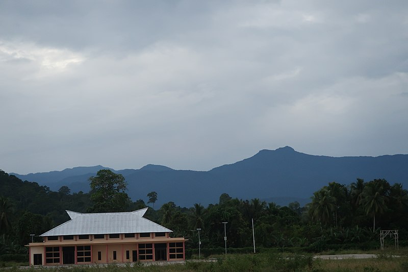 File:Terminal bandara Werur.jpg