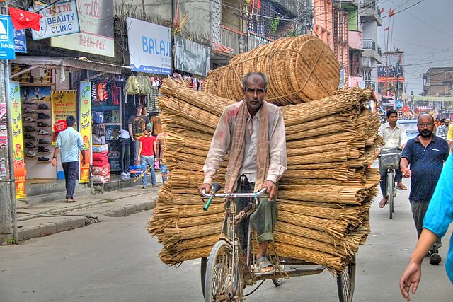 Rickshaw in Biratnagar