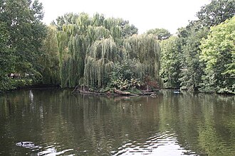 The lake and island within Manor House Gardens. Wild birds nest on the island. The Lake, Manor House Gardens, Lee - geograph.org.uk - 965825.jpg