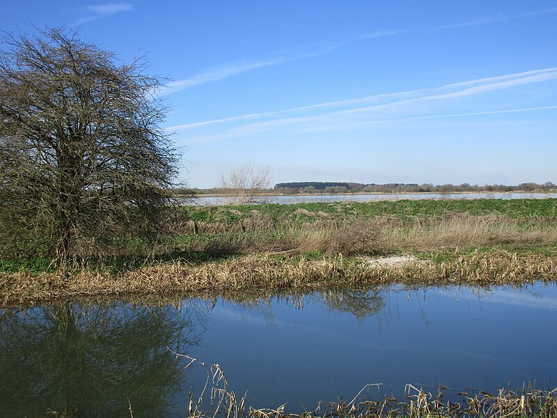 File:The Pocklington Canal and flooded ings - geograph.org.uk - 5323895.jpg