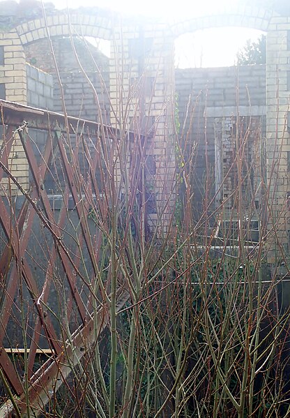 File:The remains of an iron footbridge linking Station Road with the first floor of the now ruined Adavoyle Railway Station - geograph.org.uk - 6062703.jpg