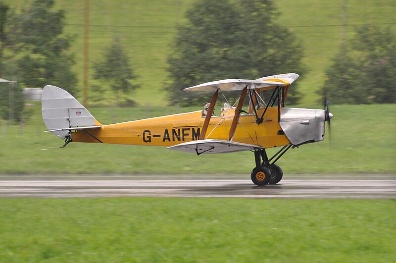 File:Tiger Moth at St. Stephan 2019 09.jpg