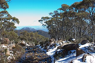 Tom Thumb vom Mount Wellington aus